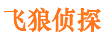 南充市私家侦探